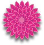 a pretty pink flower
